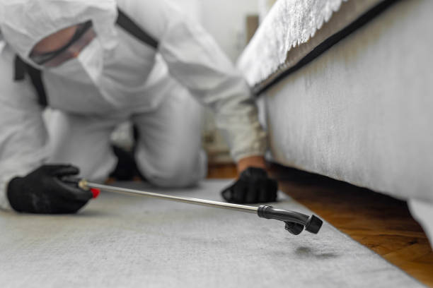 Professional Bed Bug Control technician working in Surry County County, NC